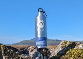 Dry gin bottle on mossy rock in countryside.
