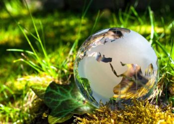 Glass globe resting on grass