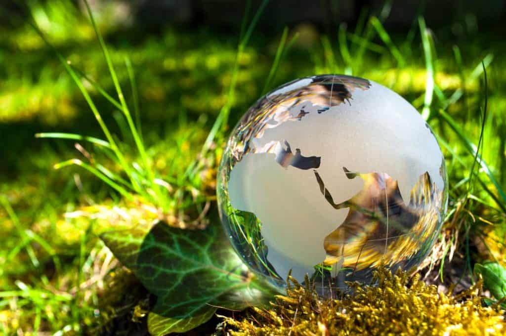 Glass globe resting on grass