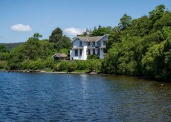 White house by lake surrounded by trees