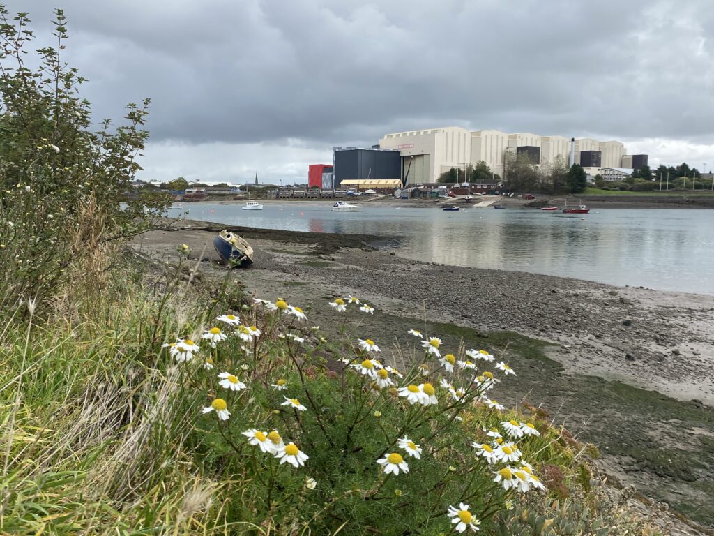 Lake with flowers and industrial buildings