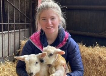 Person holding two lambs in a barn