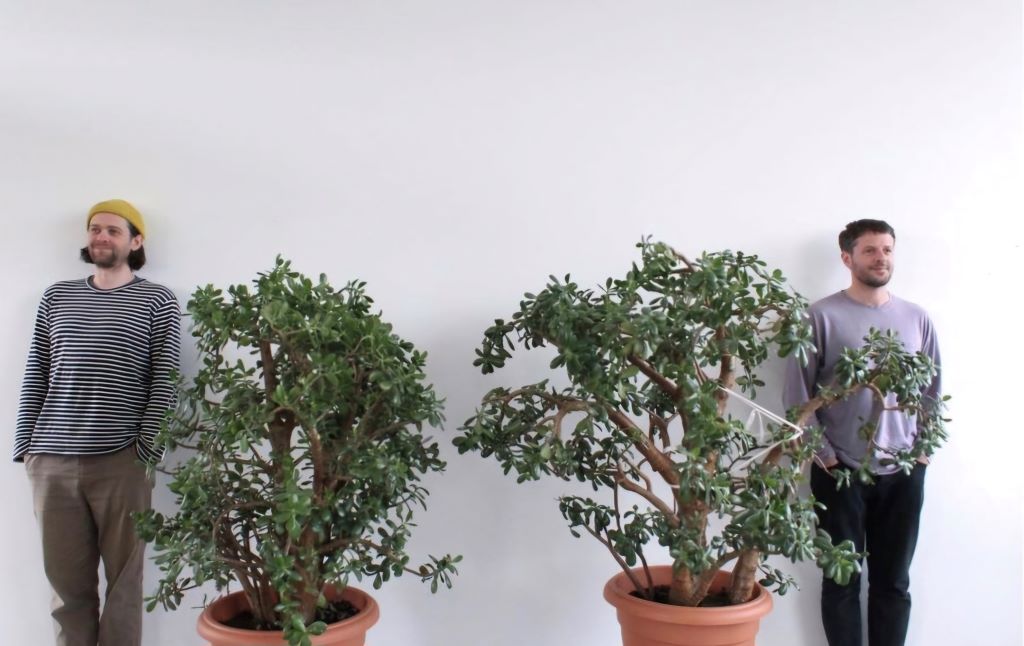 Two men separated by large potted plants.
