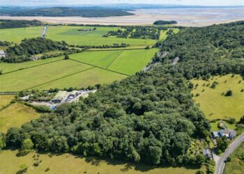Aerial view of green fields and a river.