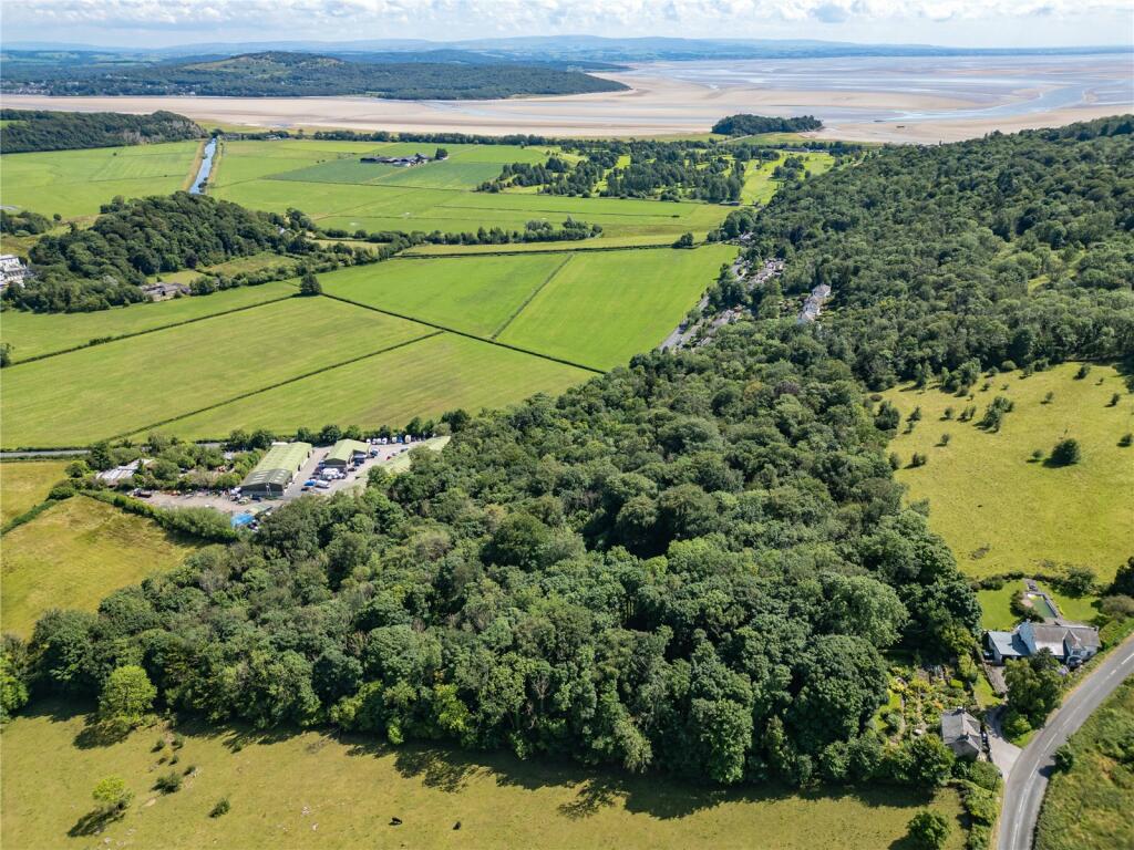 Aerial view of green fields and a river.