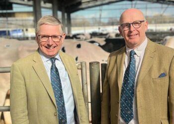 Scott Donaldson & Robin Anderson