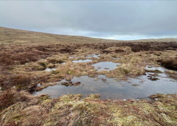 Matterdale