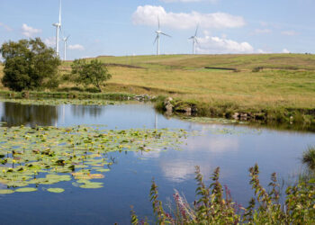 Armistead windfarm. Pic. OnPath