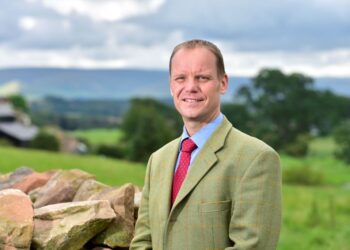 Tim Parsons