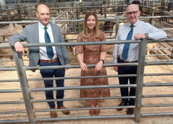 Grant Anderson, Laura Millar & Robin Anderson