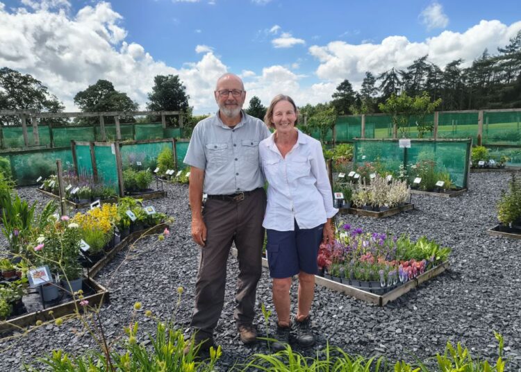 Duncan & Lynne Wilson